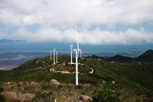 Piráti v Hradci Králové: Inovace proti klimatickým změnám